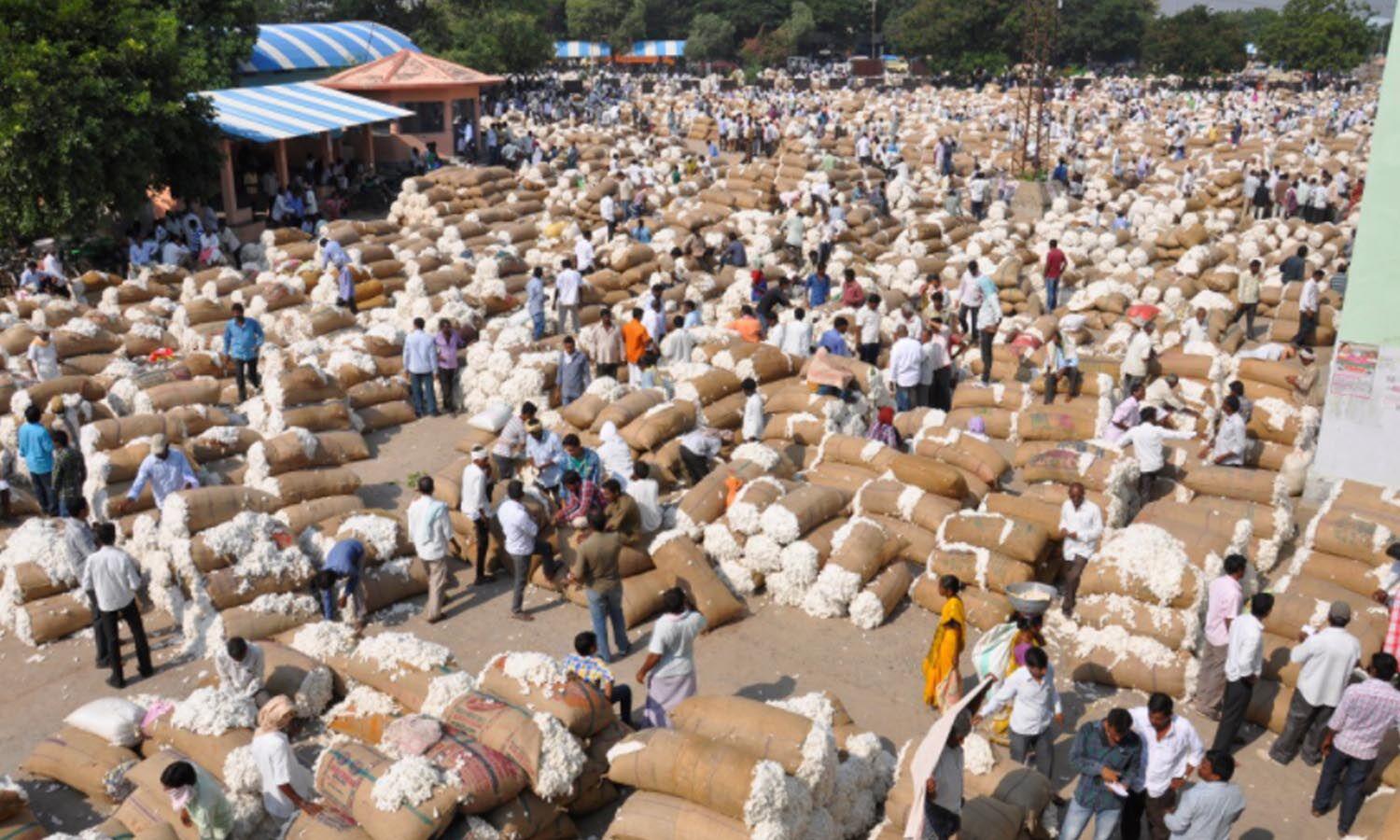 Agricultural Market Committee Warangal
